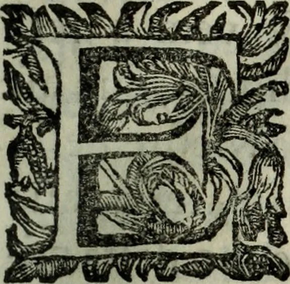 An illustration from Saphira veneziana, e Jacinto portuguez : vida, morte, heroycas virtudes, & maravilhas ràras do gloriosissimo protopatriarcha S. Lourenço Justiniano, e do veneravel padre Antonio da Cõceiçam : livro unico, historico, & panegirico, 1677, leaf 8