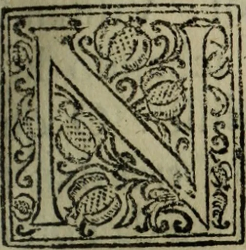 An illustration from Saphira veneziana, e Jacinto portuguez : vida, morte, heroycas virtudes, & maravilhas ràras do gloriosissimo protopatriarcha S. Lourenço Justiniano, e do veneravel padre Antonio da Cõceiçam : livro unico, historico, & panegirico, 1677, leaf 88