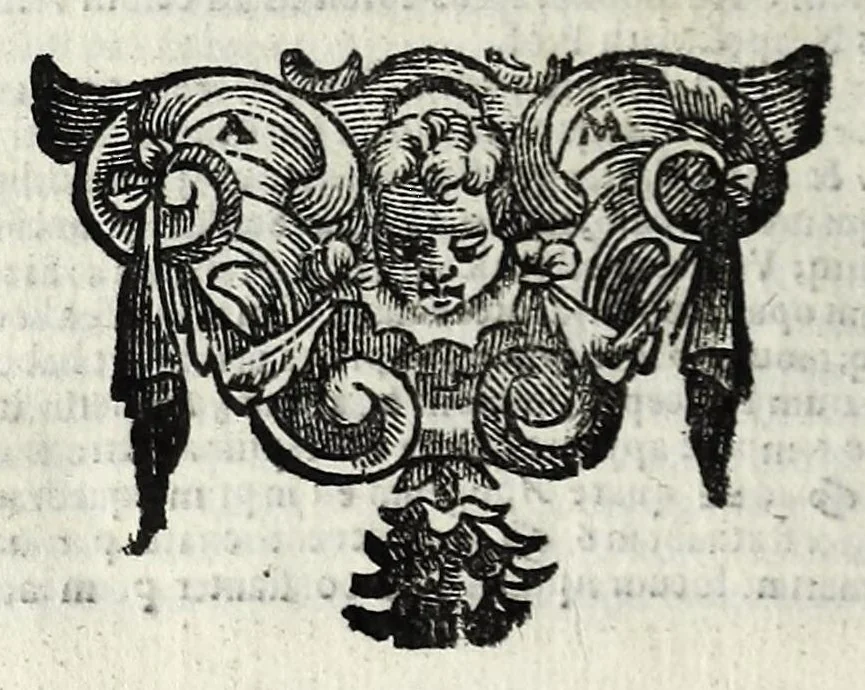 An illustration from Sapientiae pignus amabile philosophia universa in Coll. Flor. Soc. Iesu data anno 1647, 1647, leaf 88