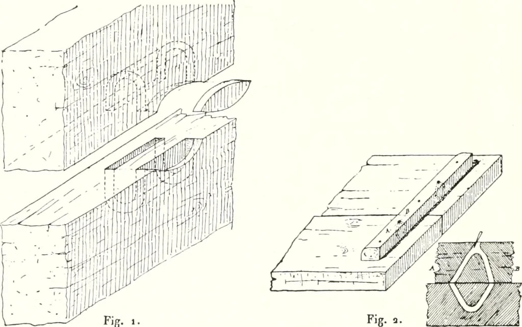 An illustration from Sarcophages antérieurs au Nouvel Empire, 1903, leaf 135