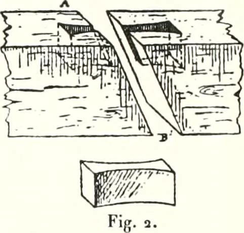 An illustration from Sarcophages antérieurs au Nouvel Empire, 1903, leaf 71