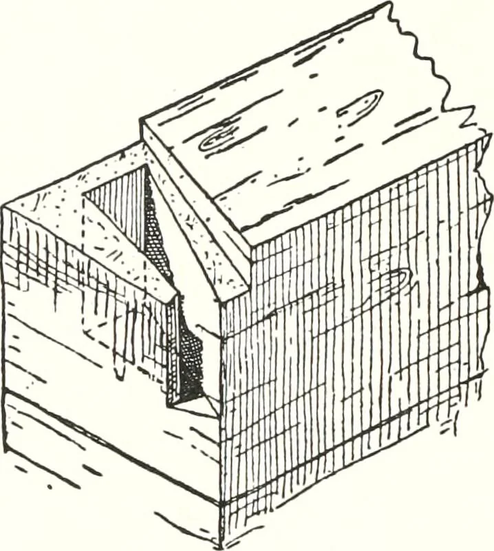 An illustration from Sarcophages antérieurs au Nouvel Empire, 1903, leaf 71