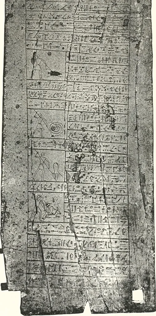 An illustration from Sarcophages de l'époque bubastite à l'époque saïte, 1912, leaf 200