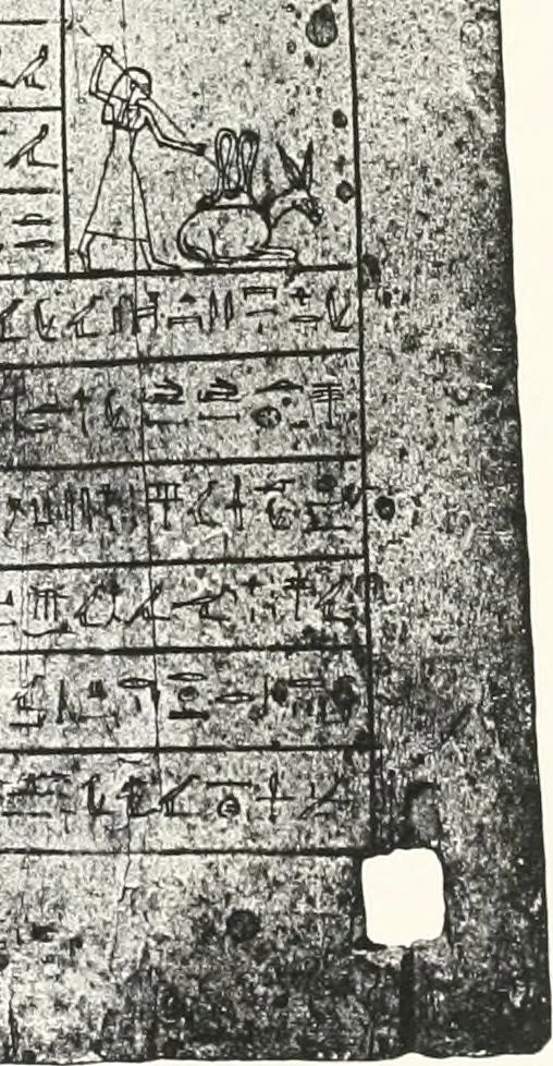 An illustration from Sarcophages de l'époque bubastite à l'époque saïte, 1912, leaf 210