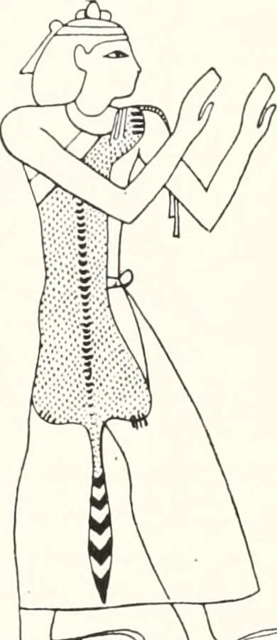 An illustration from Sarcophages de l'époque bubastite à l'époque saïte, 1912, leaf 56