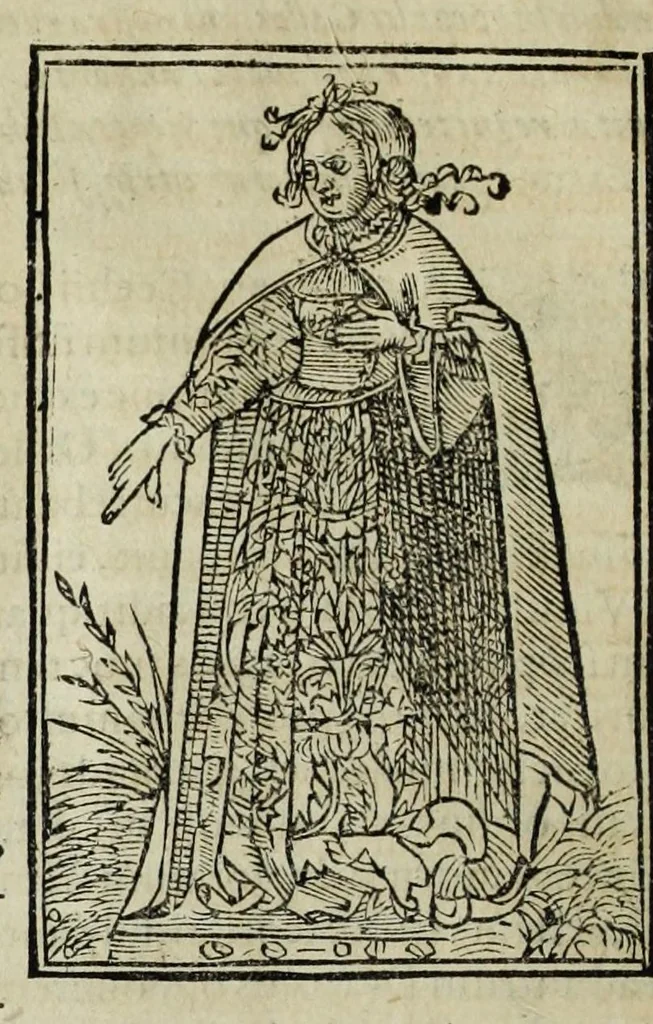An illustration from Sarmatiae evropeae descriptio : qvae regnvm Poloniae, Litvaniam, Samogitiam, Rvssiam, Massoviam, Prvssiam, Pomeraniam, Livoniam, et Moschoviae Tartariaeqve partem complectitur, 1581, leaf 28