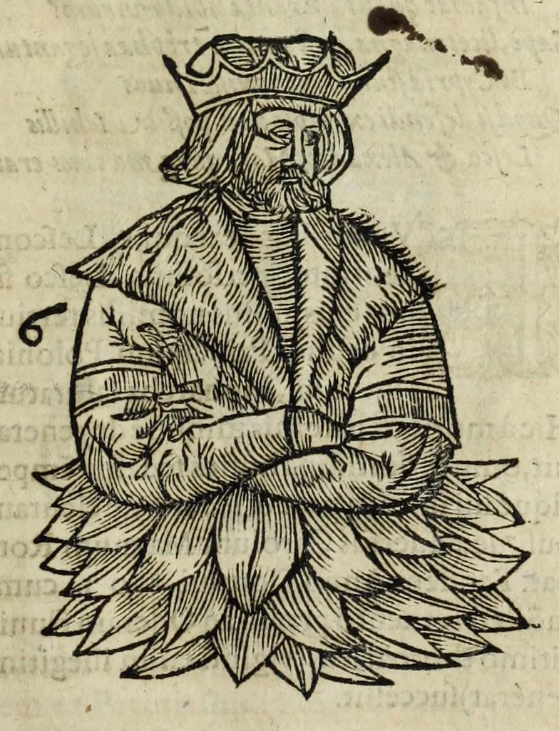 An illustration from Sarmatiae evropeae descriptio : qvae regnvm Poloniae, Litvaniam, Samogitiam, Rvssiam, Massoviam, Prvssiam, Pomeraniam, Livoniam, et Moschoviae Tartariaeqve partem complectitur, 1581, leaf 29