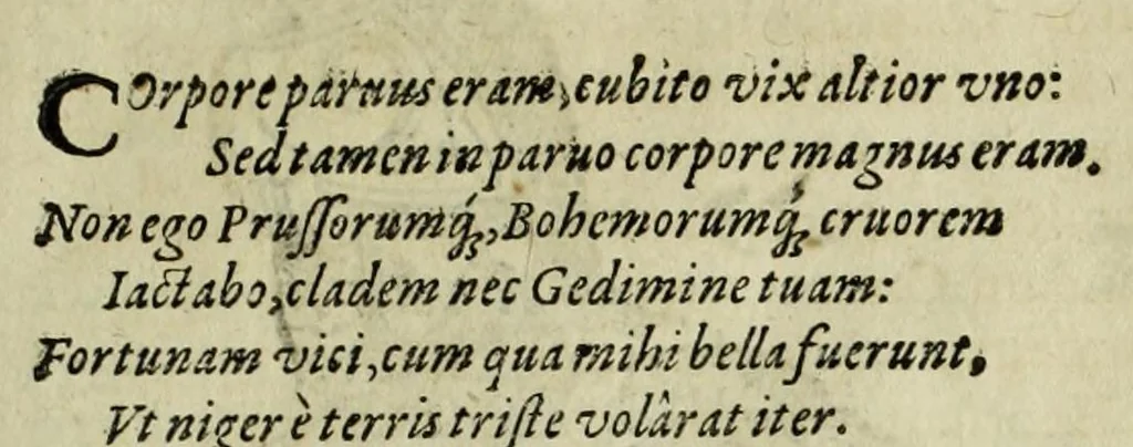 An illustration from Sarmatiae evropeae descriptio : qvae regnvm Poloniae, Litvaniam, Samogitiam, Rvssiam, Massoviam, Prvssiam, Pomeraniam, Livoniam, et Moschoviae Tartariaeqve partem complectitur, 1581, leaf 47