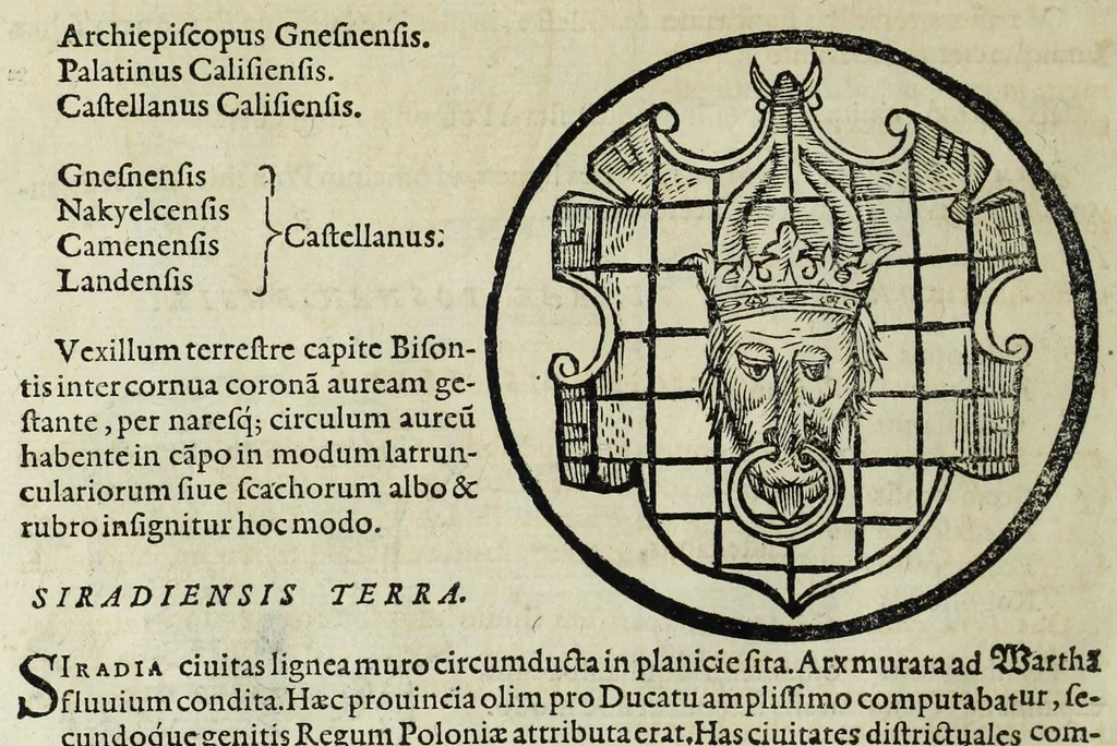 An illustration from Sarmatiae evropeae descriptio : qvae regnvm Poloniae, Litvaniam, Samogitiam, Rvssiam, Massoviam, Prvssiam, Pomeraniam, Livoniam, et Moschoviae Tartariaeqve partem complectitur, 1581, leaf 84