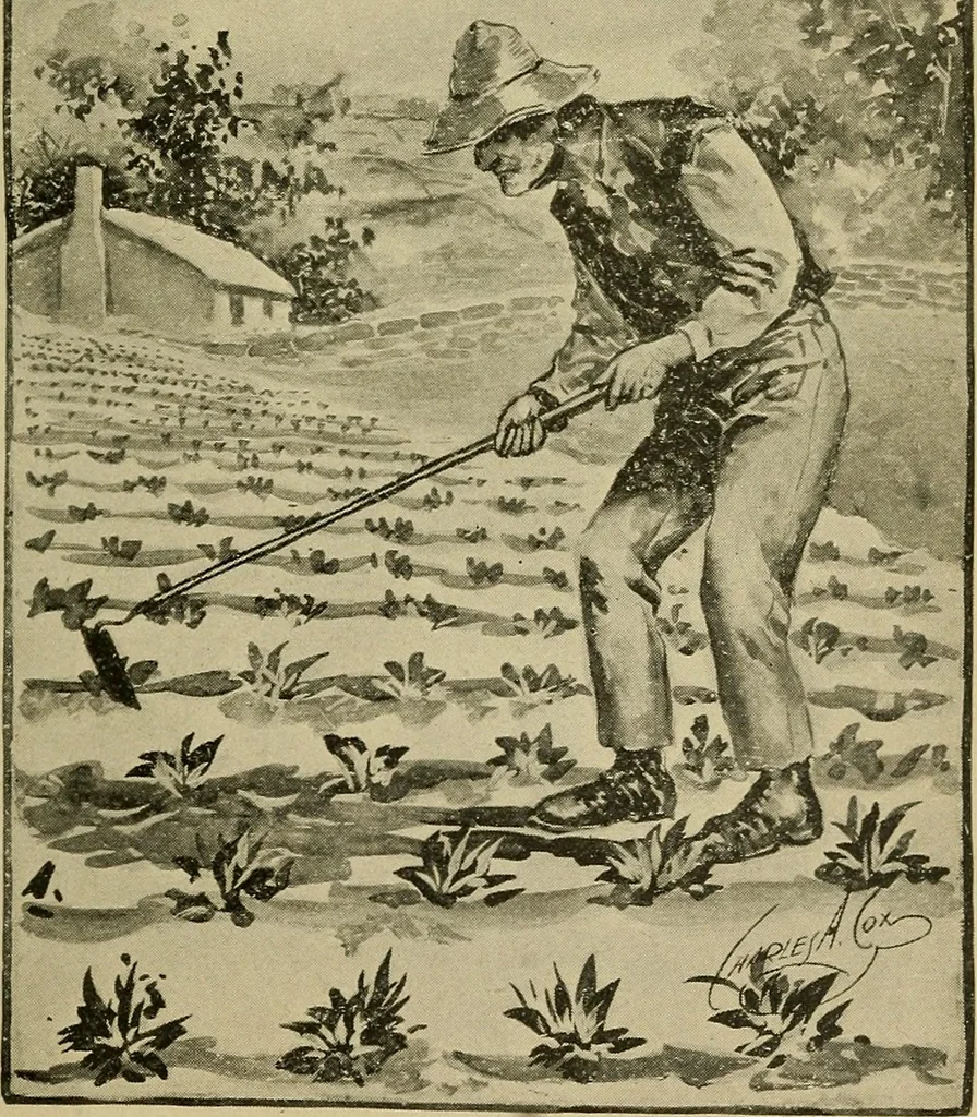 An illustration from Sartor resartus, 1900, leaf 284