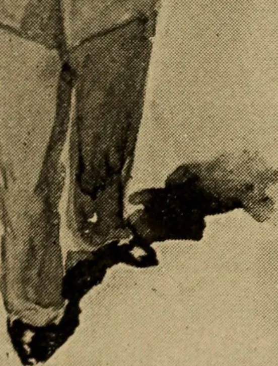An illustration from Sartor resartus; the life and opinions of Herr Teufelsdröckh, 1893, leaf 186