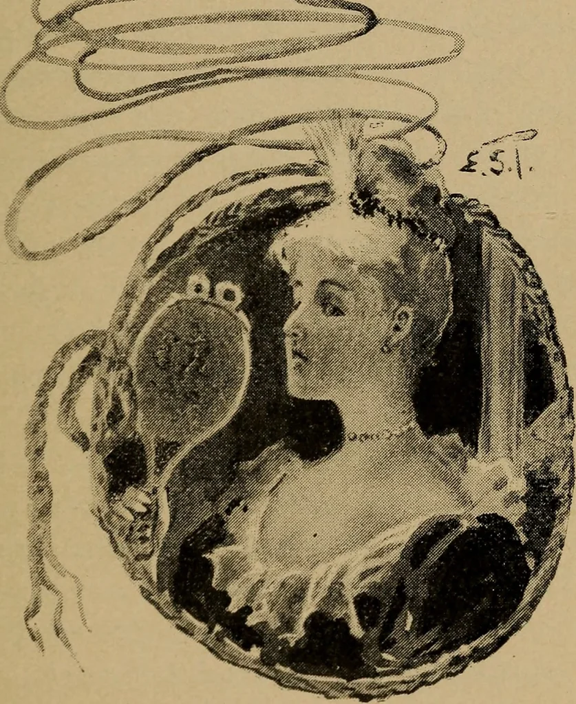 An illustration from Sartor resartus; the life and opinions of Herr Teufelsdröckh, 1893, leaf 48