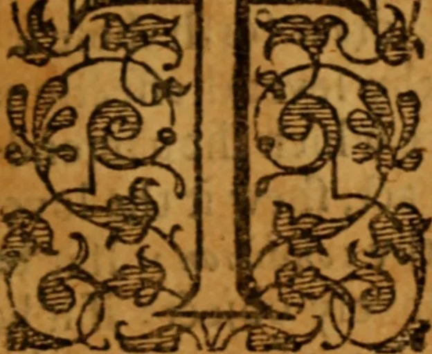 An illustration from The saints everlasting rest .., 1653, leaf 1014