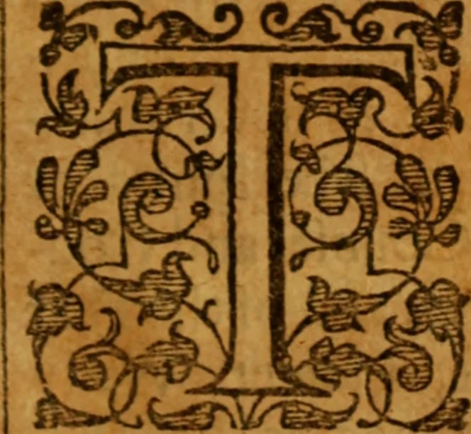 An illustration from The saints everlasting rest .., 1653, leaf 1068