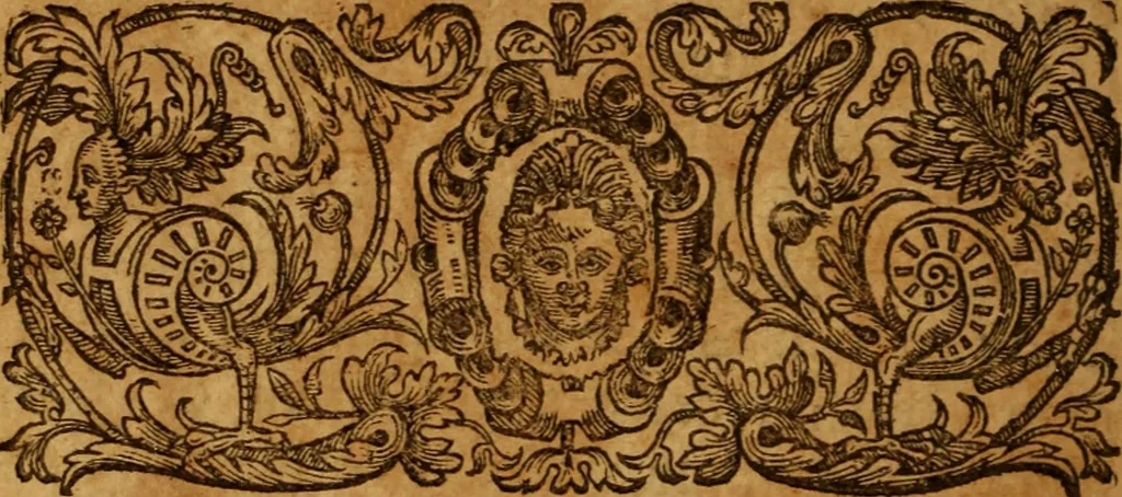 An illustration from The saints everlasting rest .., 1653, leaf 1071
