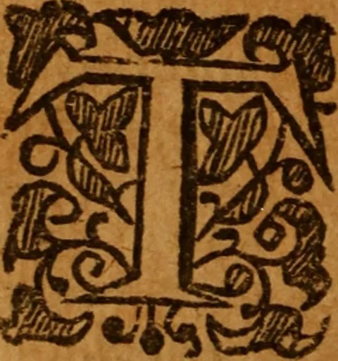 An illustration from The saints everlasting rest .., 1653, leaf 121