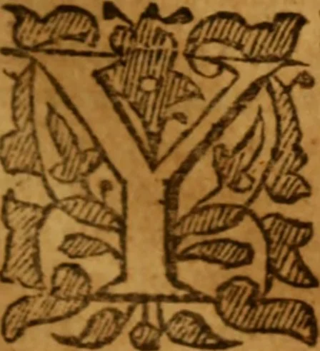 An illustration from The saints everlasting rest .., 1653, leaf 130