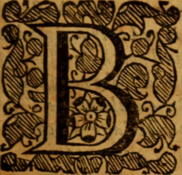 An illustration from The saints everlasting rest .., 1653, leaf 236