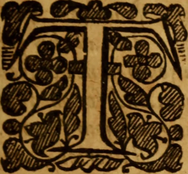 An illustration from The saints everlasting rest .., 1653, leaf 24