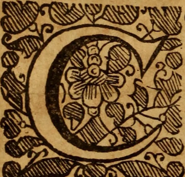 An illustration from The saints everlasting rest .., 1653, leaf 27