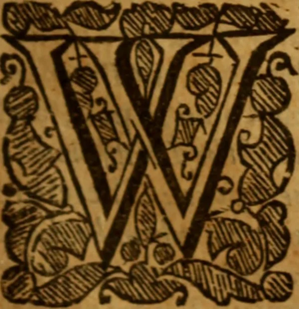 An illustration from The saints everlasting rest .., 1653, leaf 272