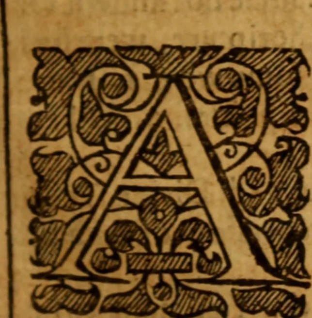 An illustration from The saints everlasting rest .., 1653, leaf 290