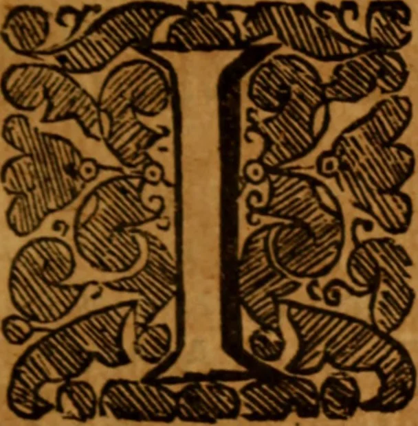 An illustration from The saints everlasting rest .., 1653, leaf 330