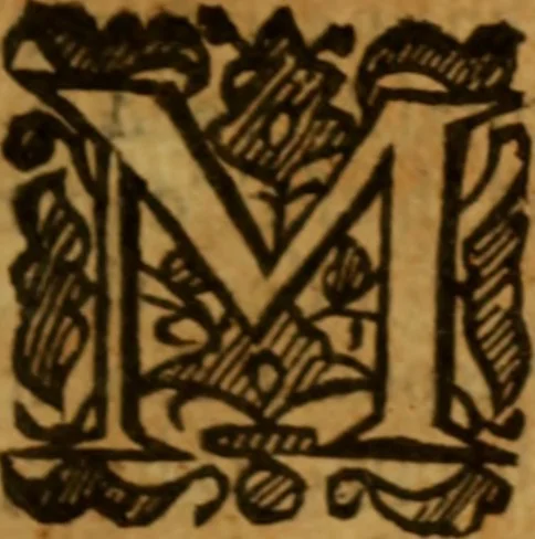 An illustration from The saints everlasting rest .., 1653, leaf 354