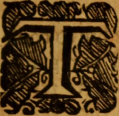 An illustration from The saints everlasting rest .., 1653, leaf 376