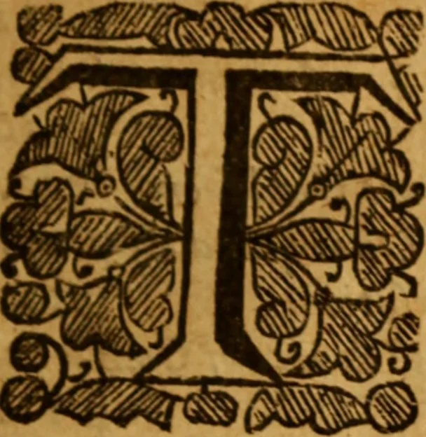 An illustration from The saints everlasting rest .., 1653, leaf 40