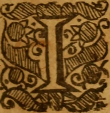 An illustration from The saints everlasting rest .., 1653, leaf 48