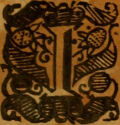 An illustration from The saints everlasting rest .., 1653, leaf 496