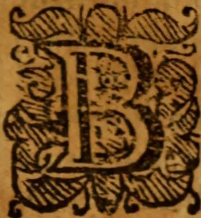 An illustration from The saints everlasting rest .., 1653, leaf 550