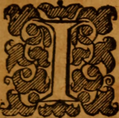 An illustration from The saints everlasting rest .., 1653, leaf 578