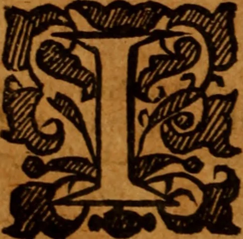 An illustration from The saints everlasting rest .., 1653, leaf 589