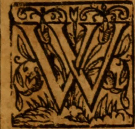 An illustration from The saints everlasting rest .., 1653, leaf 812