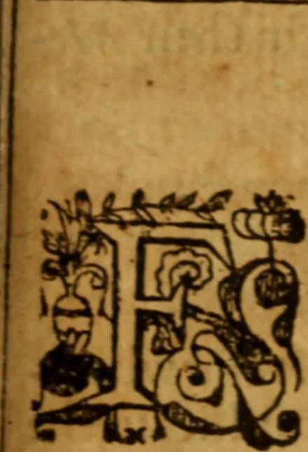 An illustration from The saints everlasting rest .., 1653, leaf 972