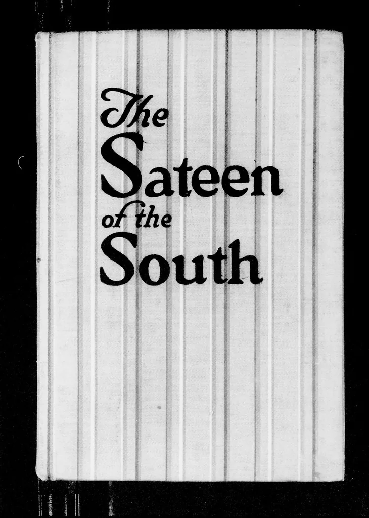 An illustration from The sateen of the South [microform], 1921, leaf 3