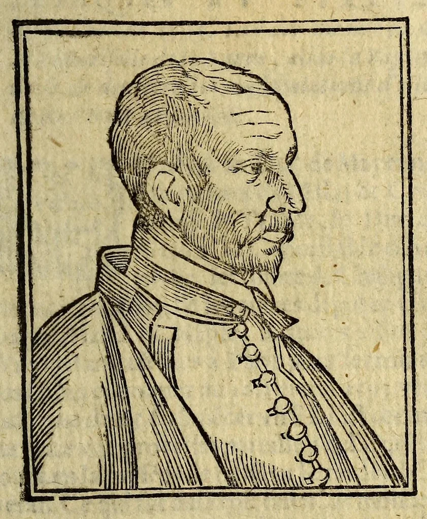 An illustration from Satyre Menippee de la vertu de catholicon d'Espaigne. Et de la tenue des estats de Paris. : Augmentée outre les precedentes impressions tant de l'interpretation du mot de Higuiero d'infierno, & qui en est l'autheur, que du Supplément ou suite du catholicon. ., 1600, leaf 29