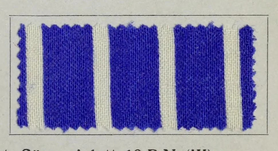 An illustration from Säurefarbstoffe im Druck auf Wolle = Colorants acides dans l'impression sur laine = Acid colours for wool printing = Coloranti acidi nella stampa della lana, 1900, leaf 25