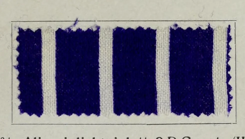 An illustration from Säurefarbstoffe im Druck auf Wolle = Colorants acides dans l'impression sur laine = Acid colours for wool printing = Coloranti acidi nella stampa della lana, 1900, leaf 29