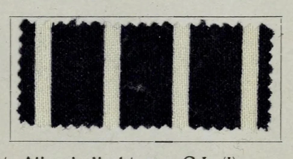 An illustration from Säurefarbstoffe im Druck auf Wolle = Colorants acides dans l'impression sur laine = Acid colours for wool printing = Coloranti acidi nella stampa della lana, 1900, leaf 33