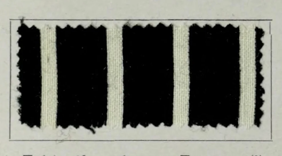 An illustration from Säurefarbstoffe im Druck auf Wolle = Colorants acides dans l'impression sur laine = Acid colours for wool printing = Coloranti acidi nella stampa della lana, 1900, leaf 34