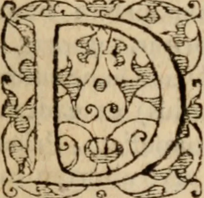 An illustration from S. Aurelii Augustini Hipponensis Episcopi operum .., 1596, leaf 132