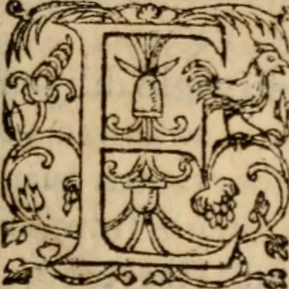 An illustration from S. Aurelii Augustini Hipponensis Episcopi operum .., 1596, leaf 28