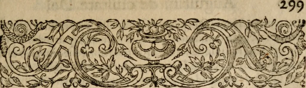 An illustration from S. Aurelii Augustini Hipponensis Episcopi operum .., 1596, leaf 326