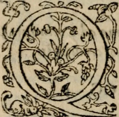 An illustration from S. Aurelii Augustini Hipponensis Episcopi operum .., 1596, leaf 501