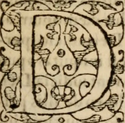 An illustration from S. Aurelii Augustini Hipponensis Episcopi operum .., 1596, leaf 560
