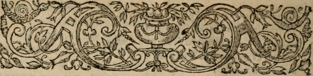 An illustration from S. Aurelii Augustini Hipponensis Episcopi operum .., 1596, leaf 695
