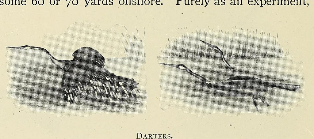 An illustration from Savage Sudan : its wild tribes, big-game and bird-life, 1921, leaf 304